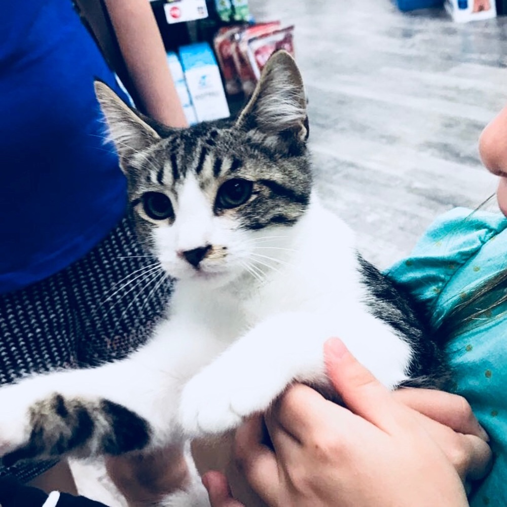 Meet your Posher, Maria